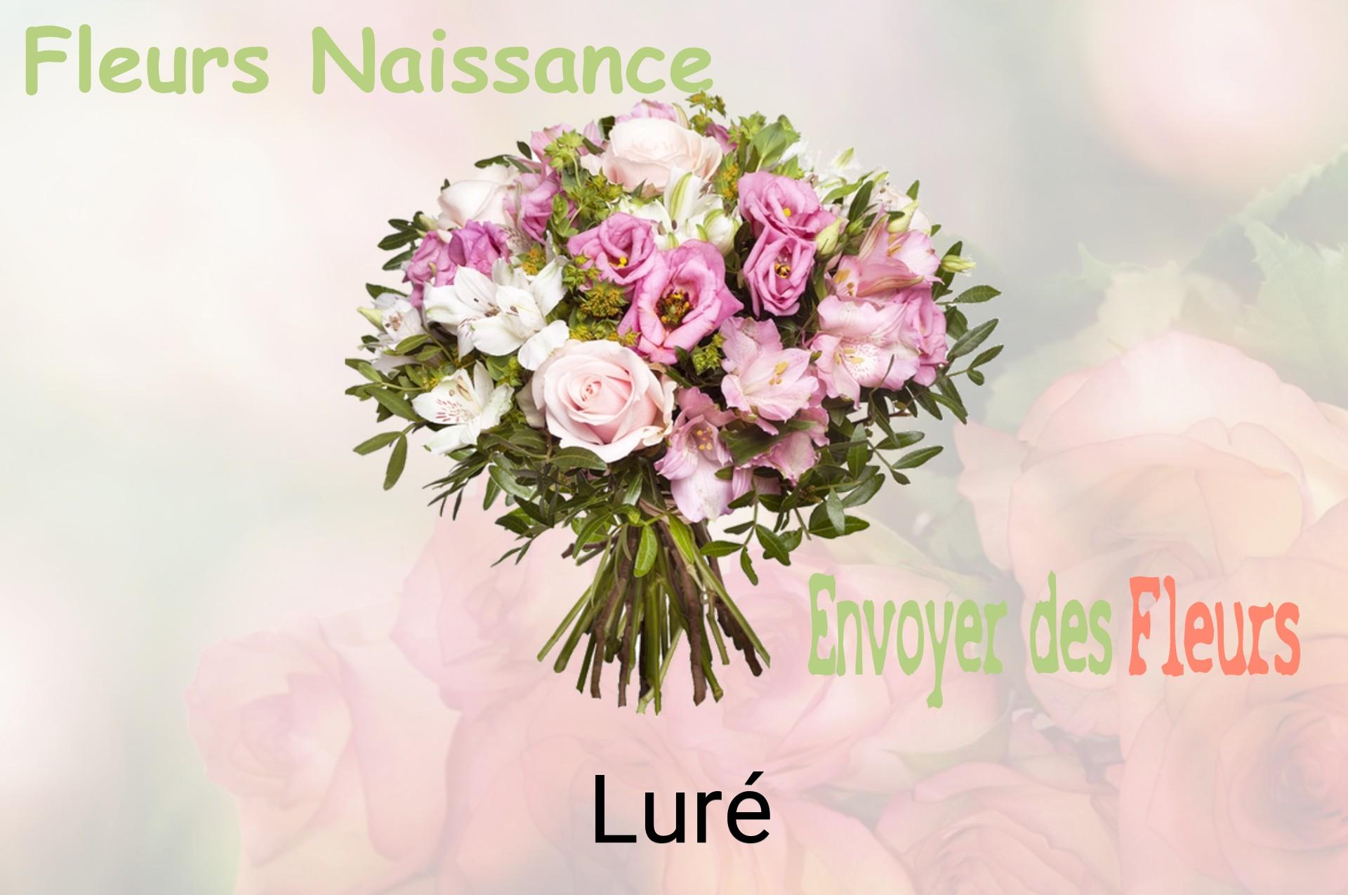 Bouquet de fleurs de naissance livré à Luré